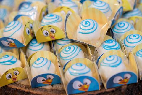 buffet alpha kids aniversario infanil cuiaba fotografo fotografia promoção pacote brindes google'