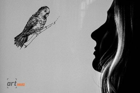 Fábio Figueiredo - Foto premiada Debutantes Fineart Association'