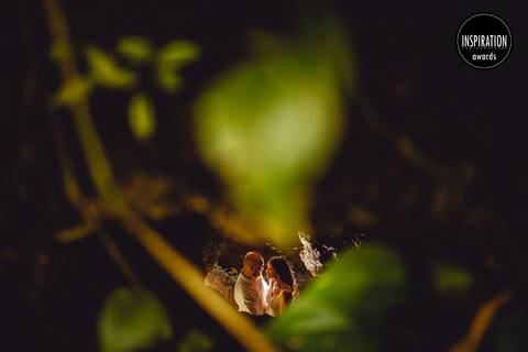 foto-premiada-inspiration-photographers-fabio-figueiredo-moldura-folhas-parque-lage-rj'