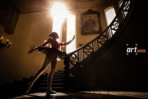 Fábio Figueiredo - Foto premiada Debutantes Fineart Association'