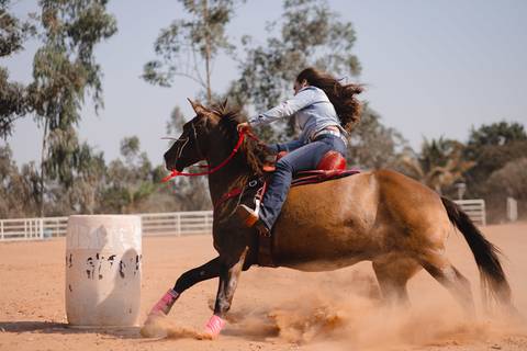 fotografo de debutante em presidente prudente '