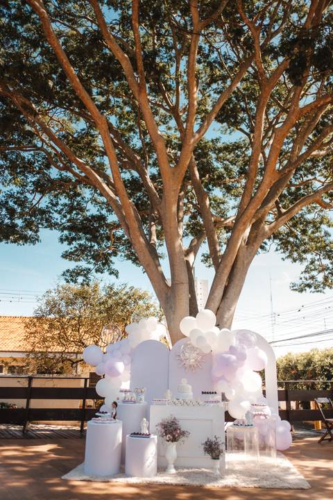 Fotografa infantil em presidente Prudente '