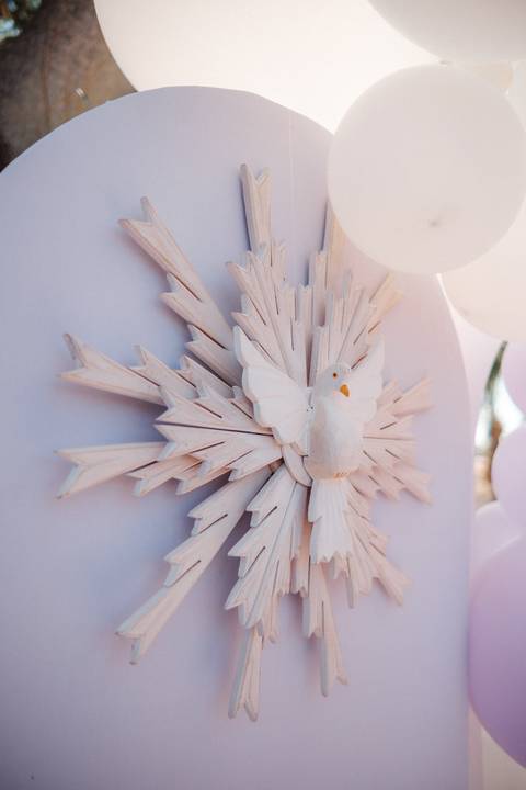 Fotografo infantil em presidente Prudente '