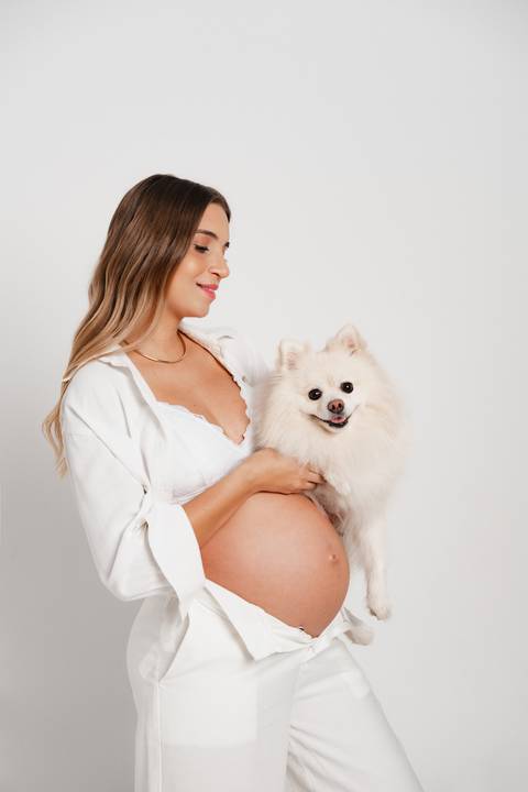 ensaio de gestante com pet'