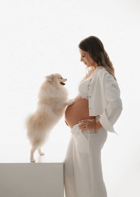 ensaio de gestante com pet'