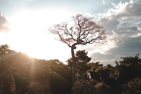 ensaio de casal na Fazenda Ipanema
ensaio fotográfico ao ar livre
pedido de casamento surpresa
ensaio pré-wedding em Sorocaba
ensaio de casal São Paulo e região
ensaio romântico com pedido de noivado'
