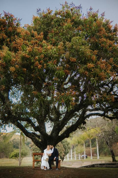 casamento intimista ao ar livre em SP
locais para casamento ao ar livre em São Paulo
ensaio e casamento em chácara com pôr do sol'