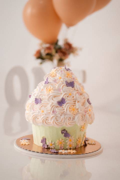 Estudio de fotografia em presidnete prudente '