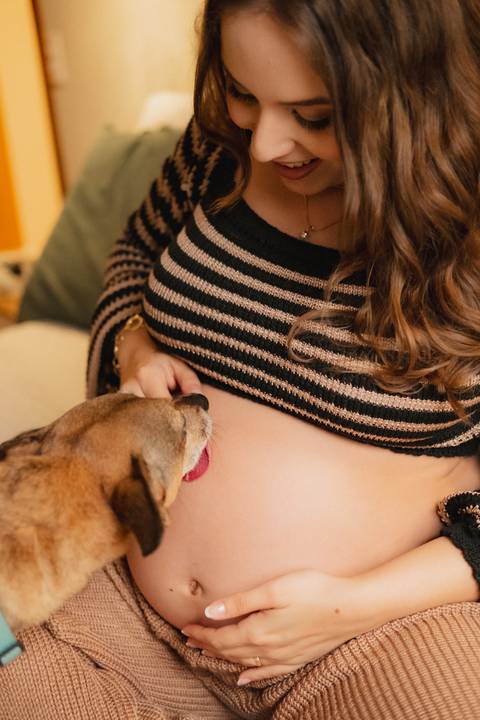 fotos de gestante no quarto 
ensaio de gestante no quarto com cachorro 
ensaio de gestante com pet 
inspiração de ensaio de gestante 
fotografo de gestante '