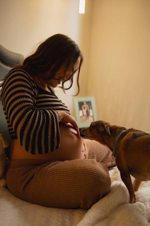 fotos de gestante no quarto 
ensaio de gestante no quarto com cachorro 
ensaio de gestante com pet 
inspiração de ensaio de gestante 
fotografo de gestante '
