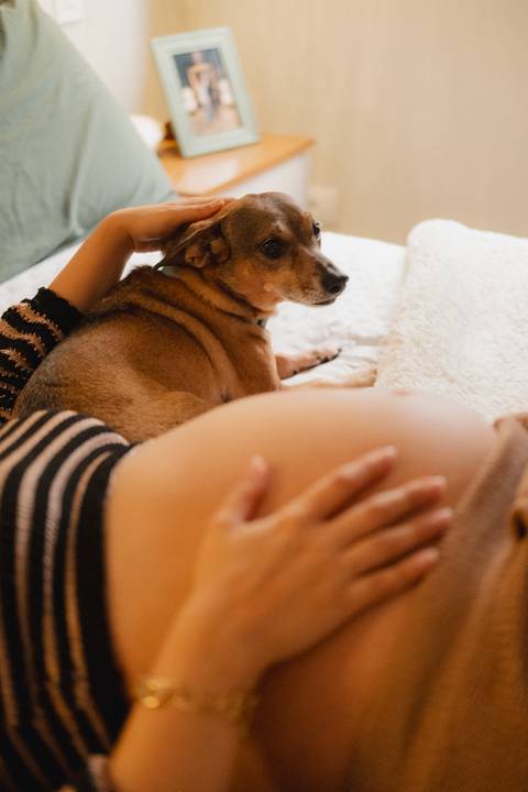 fotos de gestante no quarto 
ensaio de gestante no quarto com cachorro 
ensaio de gestante com pet 
inspiração de ensaio de gestante 
fotografo de gestante '
