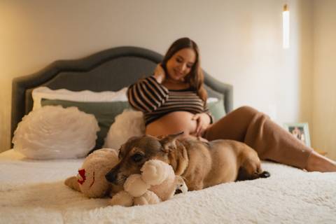fotos de gestante no quarto 
ensaio de gestante no quarto com cachorro 
ensaio de gestante com pet 
inspiração de ensaio de gestante 
fotografo de gestante '