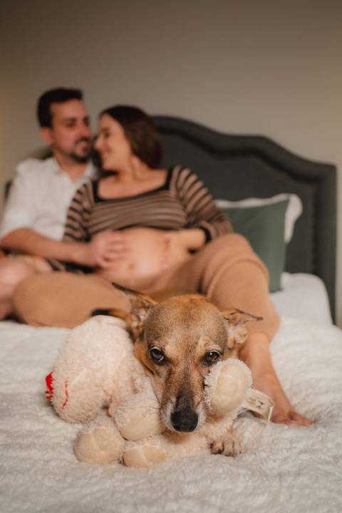 fotos de gestante no quarto 
ensaio de gestante no quarto com cachorro 
ensaio de gestante com pet 
inspiração de ensaio de gestante 
fotografo de gestante '