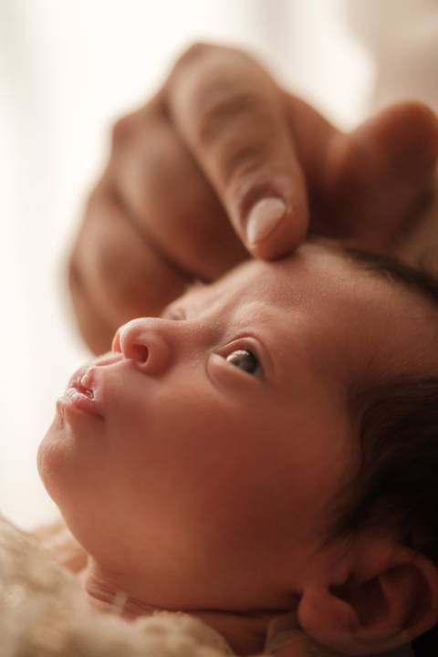 ensaio newborn

ensaio newborn afetivo

fotografia newborn

fotógrafo newborn

ensaio recém-nascido

fotos newborn no estúdio'