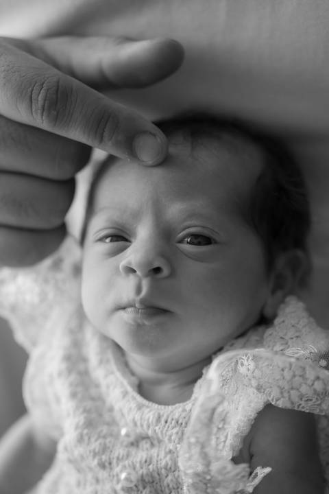 ensaio newborn

ensaio newborn afetivo

fotografia newborn

fotógrafo newborn

ensaio recém-nascido

fotos newborn no estúdio'