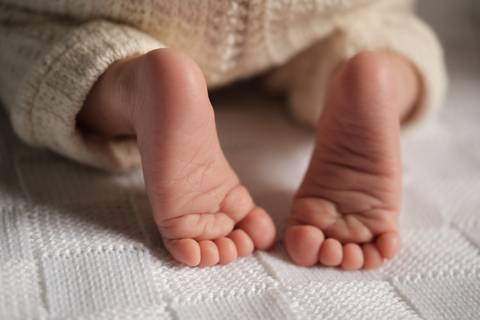 ensaio newborn

ensaio newborn afetivo

fotografia newborn

fotógrafo newborn

ensaio recém-nascido

fotos newborn no estúdio'