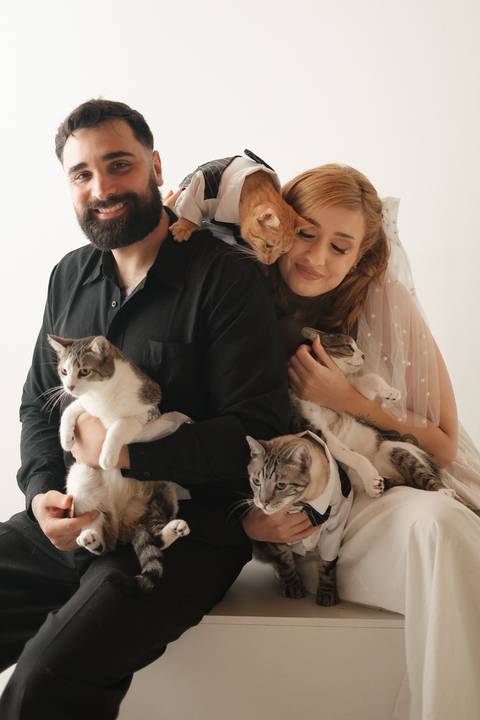 uma proposta descontraída e cheia Fotografia pré-wedding que revela a essência do casal e seu amor pelos animais.
Ensaio de noivos com gatos em '