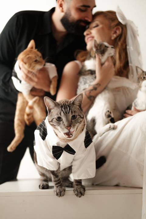 Fotografia pré-wedding que revela a essência do casal e seu amor pelos animais.
Ensaio de noivos com gatos em uma proposta descontraída e cheia Fotografia pré-wedding que revela a essência do casal e seu amor pelos animais.
Ensaio de noivos com gatos em u'