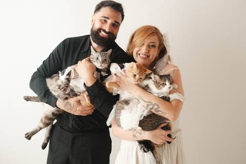 uma proposta descontraída e cheia Fotografia pré-wedding que revela a essência do casal e seu amor pelos animais.
Ensaio de noivos com gatos em '