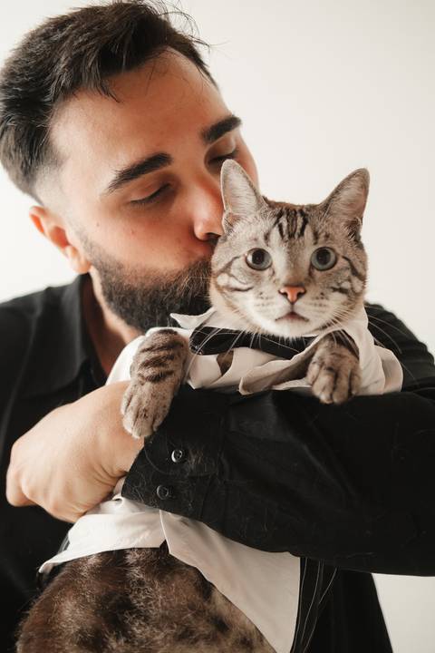 uma proposta descontraída e cheia Fotografia pré-wedding que revela a essência do casal e seu amor pelos animais.
Ensaio de noivos com gatos em '
