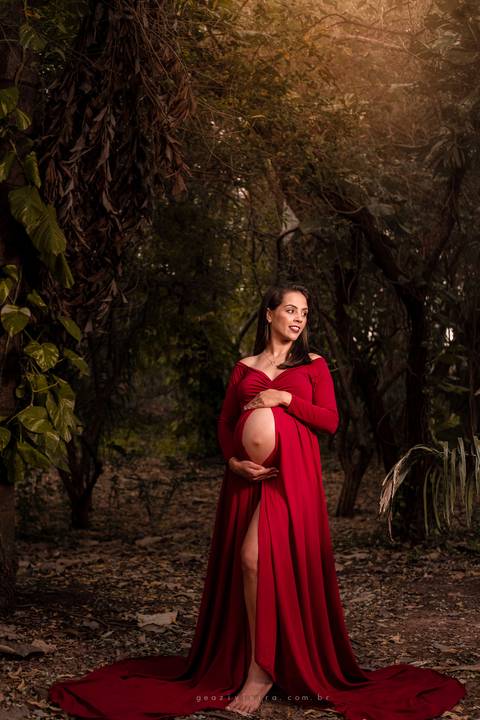 Ensaio de Gestante Interior de SP'