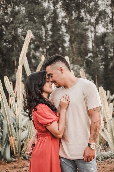 jardim deserto com cacto'