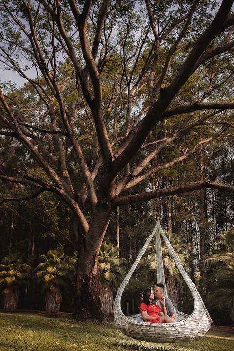 foto de casal em ninho embaixo de arvore'