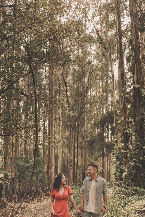 foto de casal nas arvores'