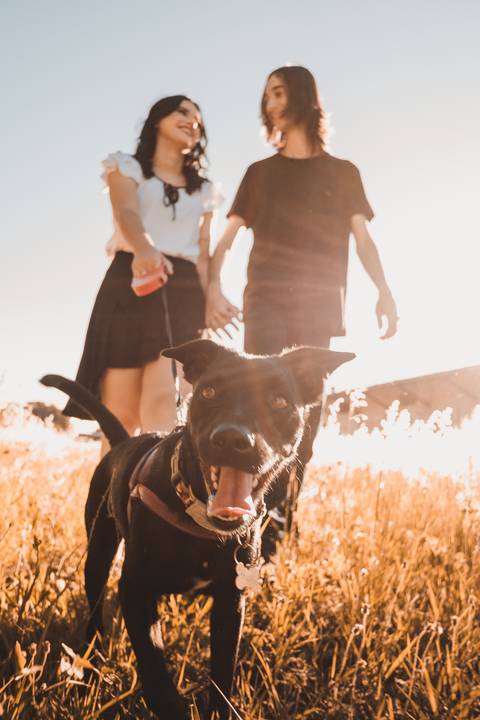 Foto de casal com cachorrinha'