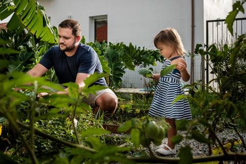 pai e filha na horta de casa '
