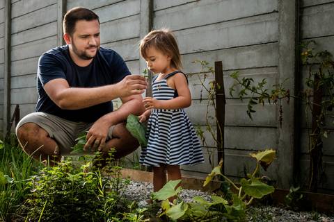pai e filha colhendo na horta de casa'