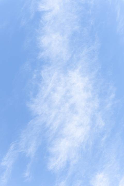 '