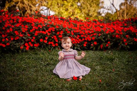 Ensaio infantil curitiba; ensaio de família curitiba; fotografia de família curitiba; aniversário infantil, deborah ayecha fotografia; fotografo curitiba; são josé dos pinhais; piraquara; pinhais'