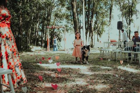 entrada do cachorro do noivo de surpresa no casamento'