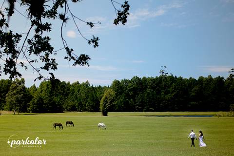 Parkolor fotografias
Gravataí, Glorinha, Santo Antônio
foto de drone com filagem dos cavalos, noivos no campo aberto ao vento com o por do sol, vestido branco de noiva longo '