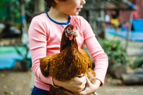 aniversário-infantil-sp-quintal-festa-infantil-no-abc'