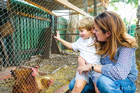 aniversário-infantil-sp-quintal-festa-infantil-no-abc'