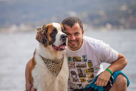 ensaio pet- cães-gatos-fotos de cachorros- Fotografo Pet'