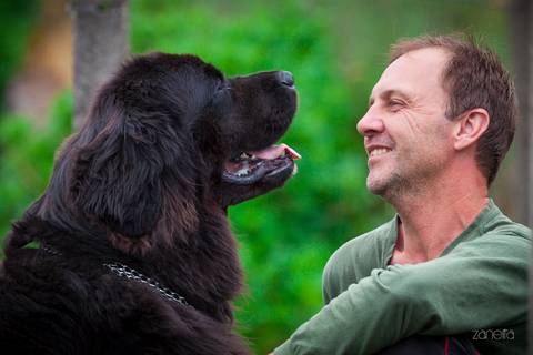 ensaio pet- cães-gatos-fotos de cachorros- Fotografo Pet'