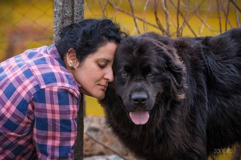 ensaio pet- cães-gatos-fotos de cachorros- Fotografo Pet'