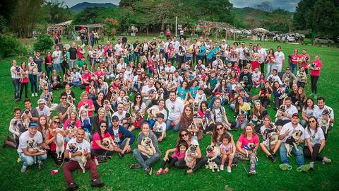 ensaio pet- cães-gatos-fotos de cachorros- Fotografo Pet'