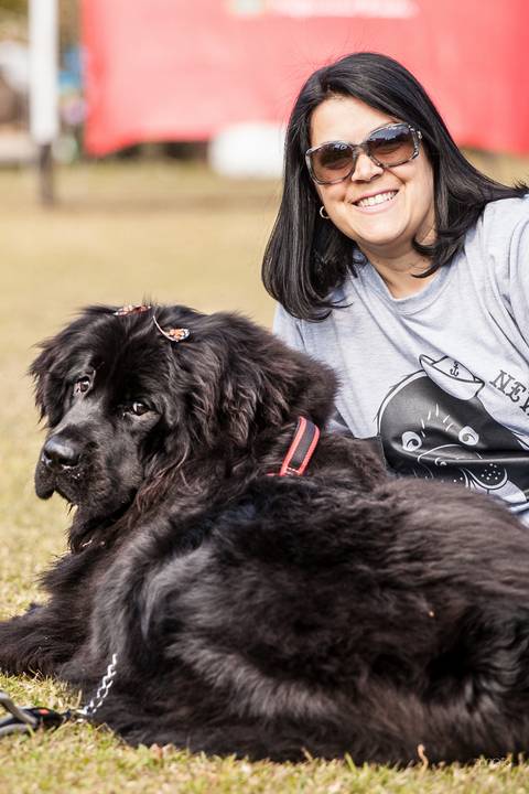 ensaio pet- cães-gatos-fotos de cachorros- Fotografo Pet'