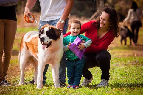 ensaio pet- cães-gatos-fotos de cachorros- Fotografo Pet'