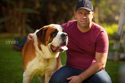 ensaio pet- cães-gatos-fotos de cachorros- Fotografo Pet'