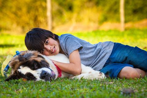 ensaio pet- cães-gatos-fotos de cachorros- Fotografo Pet'