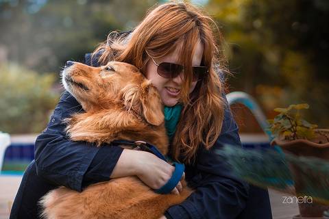 ensaio pet- cães-gatos-fotos de cachorros- Fotografo Pet'