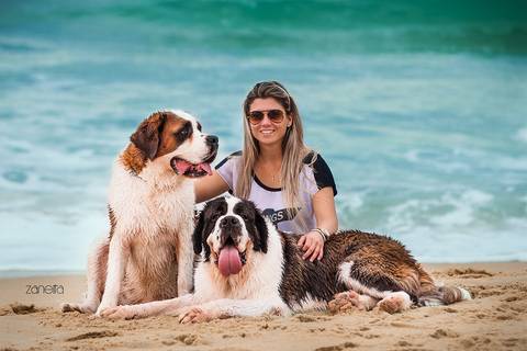 ensaio pet- cães-gatos-fotos de cachorros- Fotografo Pet'