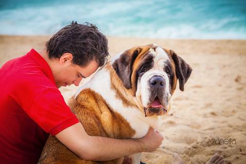 ensaio pet- cães-gatos-fotos de cachorros- Fotografo Pet'