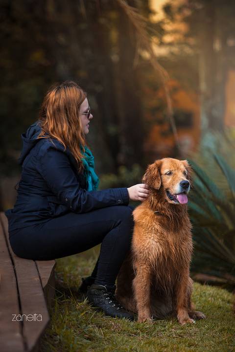 ensaio pet- cães-gatos-fotos de cachorros- Fotografo Pet'