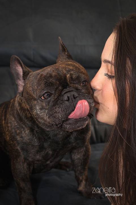 ensaio pet- cães-gatos-fotos de cachorros- Fotografo Pet'